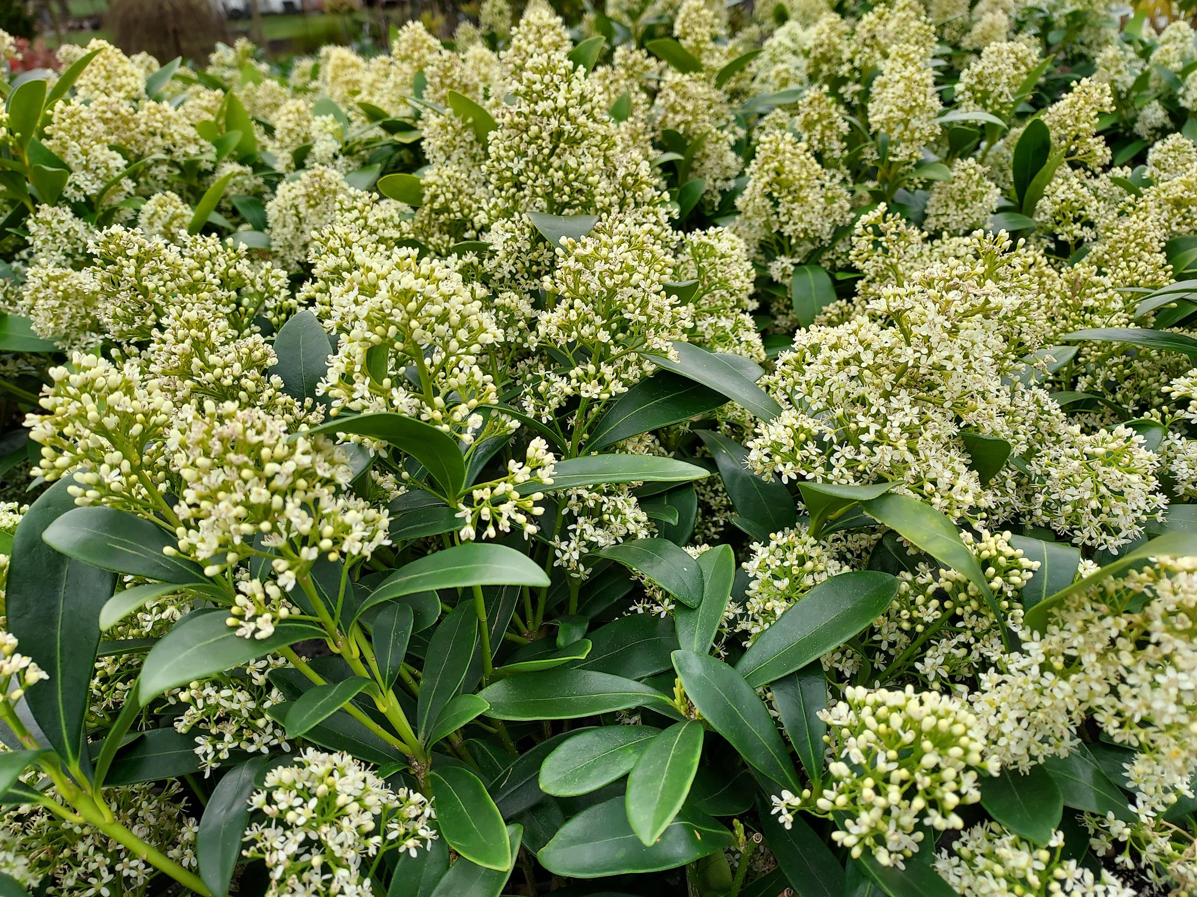 91026433806d072074151df6b22a81a0