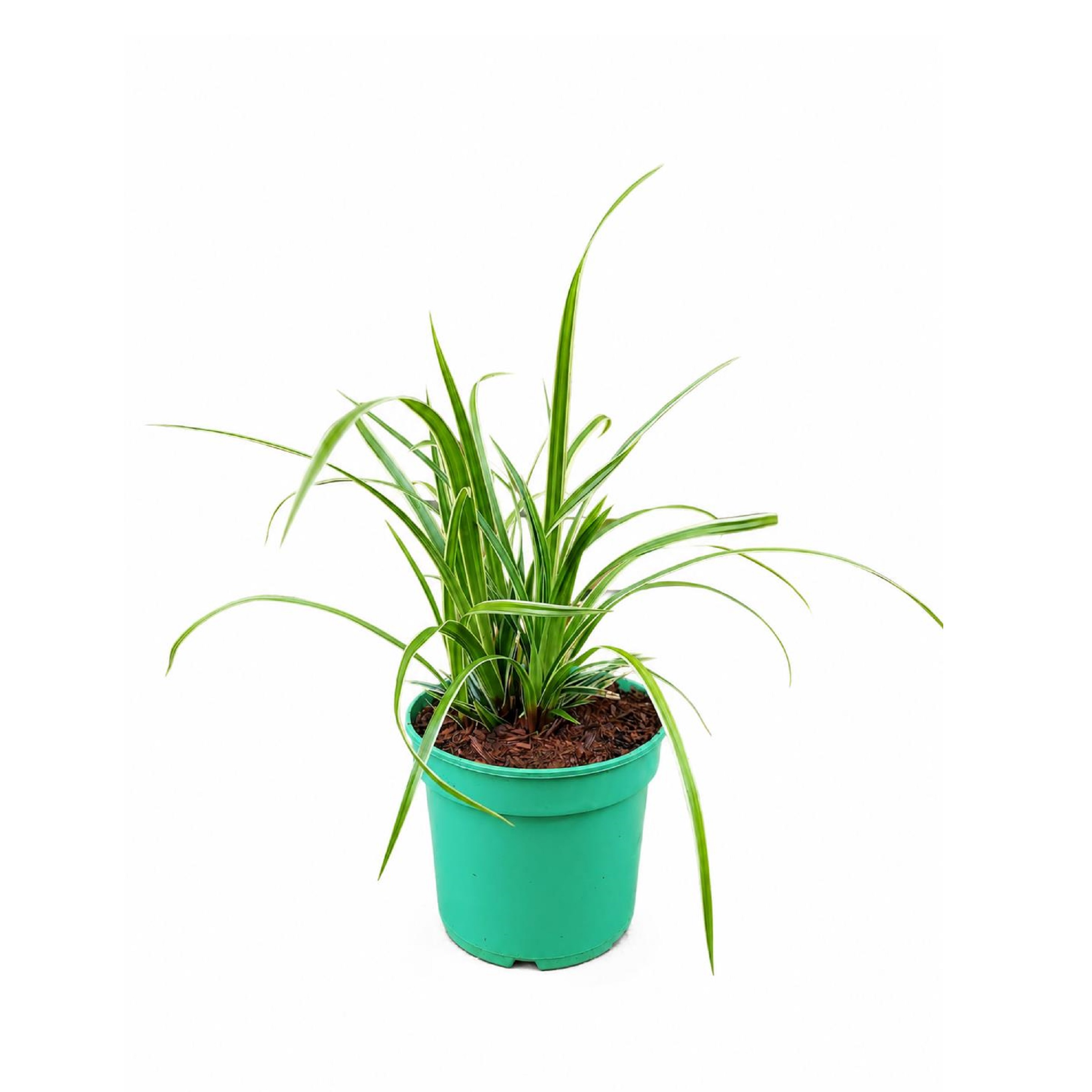 4d3cf28f3092e844fa6e8a25a679a68c